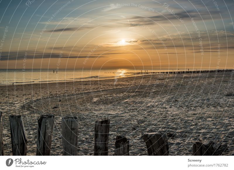 Sandy with sunset Nature Landscape Water Sky Clouds Horizon Sun Sunrise Sunset Sunlight Summer Weather Beautiful weather Coast Beach North Sea Ocean Serene