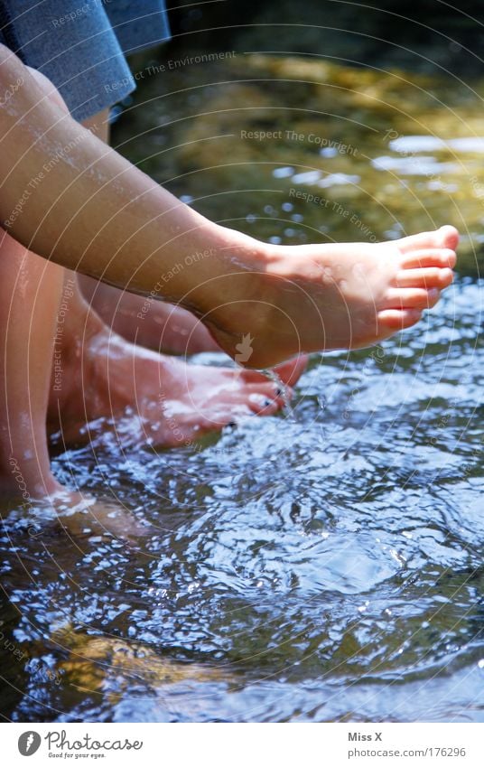 Fresh Colour photo Multicoloured Exterior shot Close-up Detail Copy Space top Copy Space bottom Light Reflection Relaxation Calm Swimming & Bathing