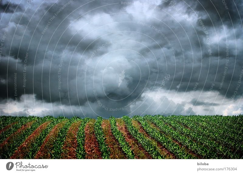 In the middle of the storm Colour photo Exterior shot Pattern Structures and shapes Deserted Copy Space top Day Light Shadow Contrast Deep depth of field