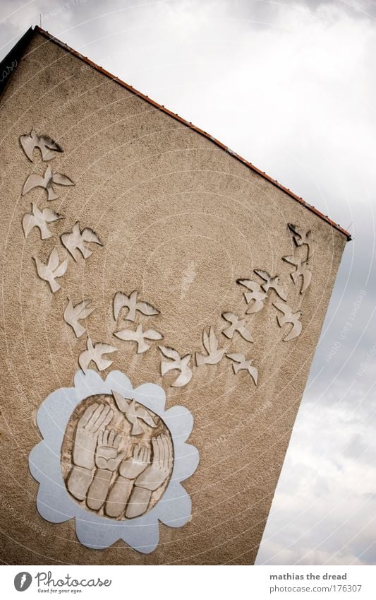 PEACE DOVES. Colour photo Exterior shot Deserted Day Light Shadow Contrast Sunlight Worm's-eye view Art Culture Sky Clouds Small Town