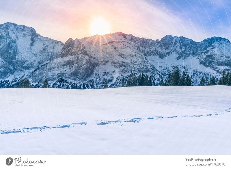 Sun shining over mountain peaks and snow Joy Calm Freedom Mountain New Year's Eve Weather Tree Alps Peak Snowcapped peak Animal tracks Footprint Fresh Bright