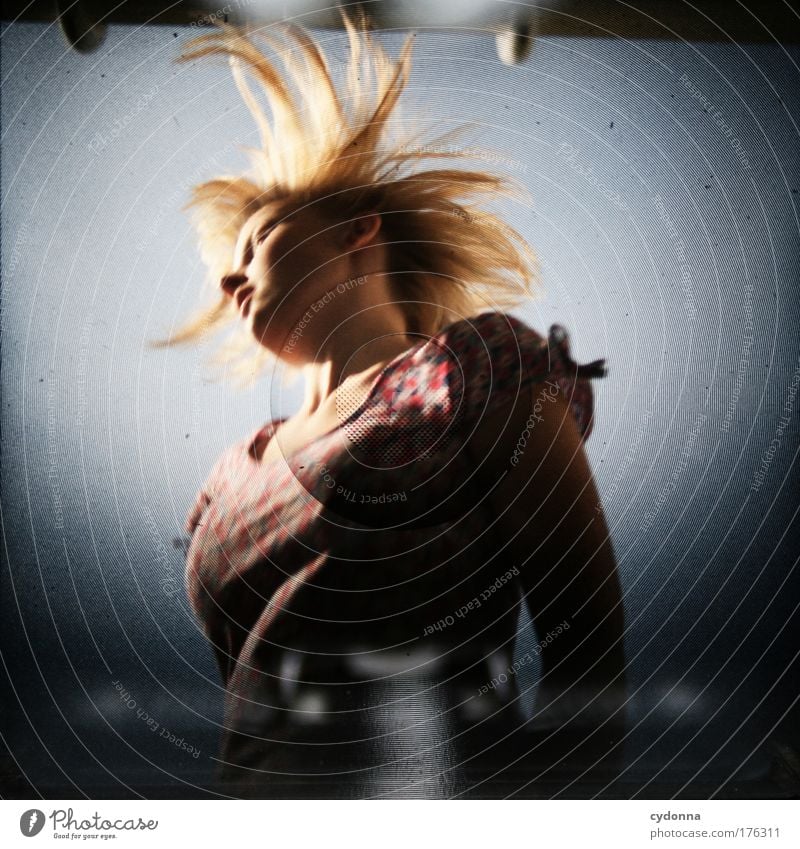 blow-dry hairdo Colour photo Exterior shot Close-up Detail Experimental Copy Space bottom Neutral Background Day Light Shadow Contrast Sunlight