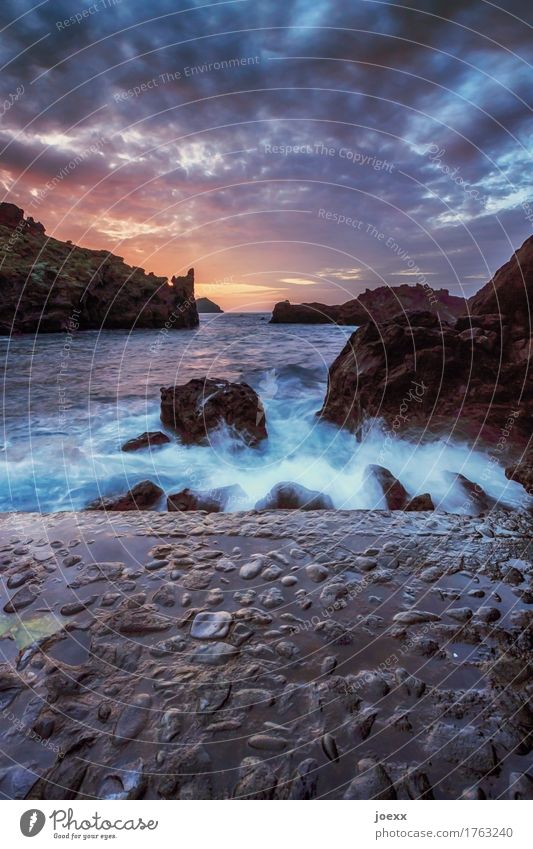 Surf with big rocks on concrete beach, with sunset under cloudy sky Waves Tenerife Ocean Rock coast Island Summer Sunset Water Horizon Sky Elements Nature