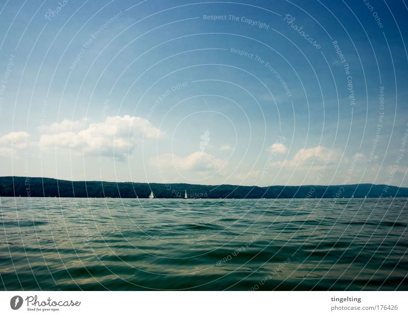 dark blue Colour photo Exterior shot Copy Space top Copy Space bottom Day Sailing Nature Landscape Water Sky Clouds Horizon Mountain Lake Lake Constance Dark