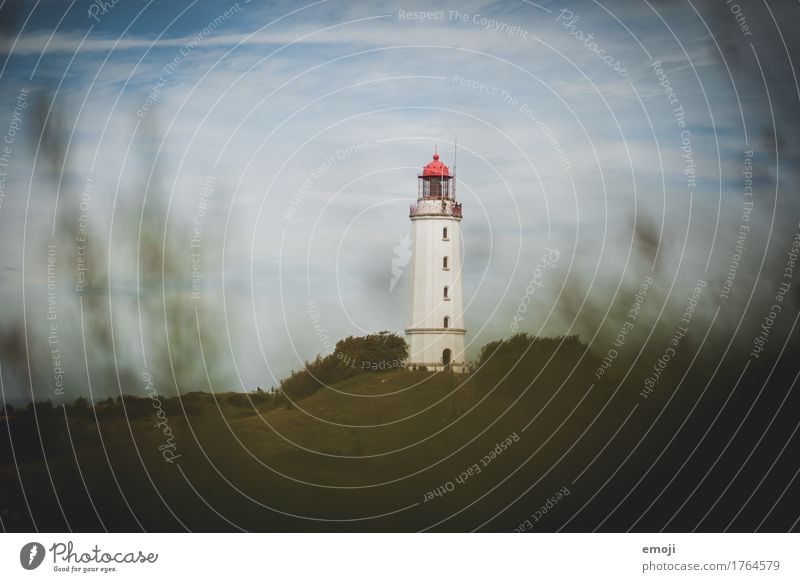 who knows him? Environment Nature Landscape Tourist Attraction Landmark Lighthouse Cliche Tourism Hiddensee Colour photo Exterior shot Deserted Day