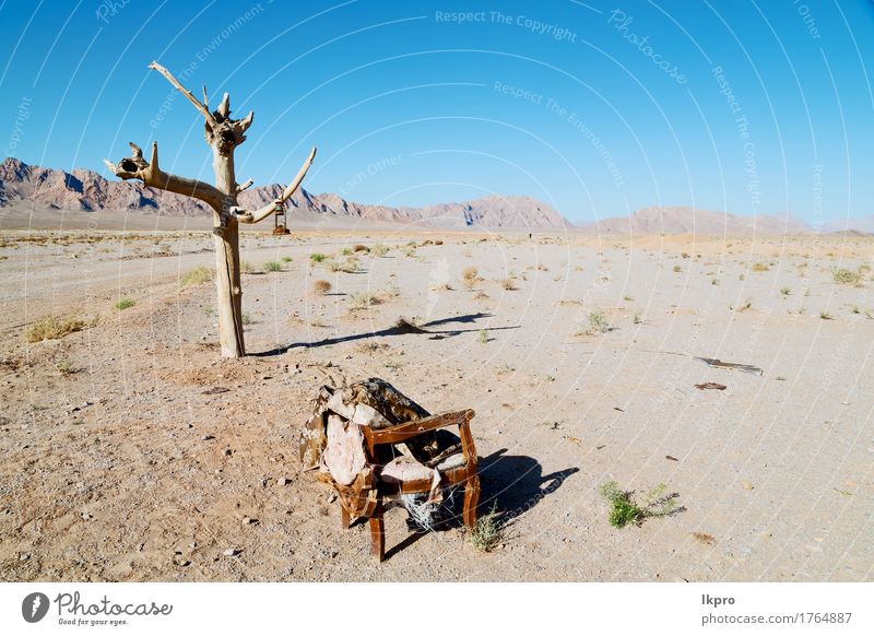 in the empty desert of persia lamp oil on branch Beautiful Vacation & Travel Tourism Mountain Chair Environment Nature Landscape Plant Sand Sky Clouds Tree Park