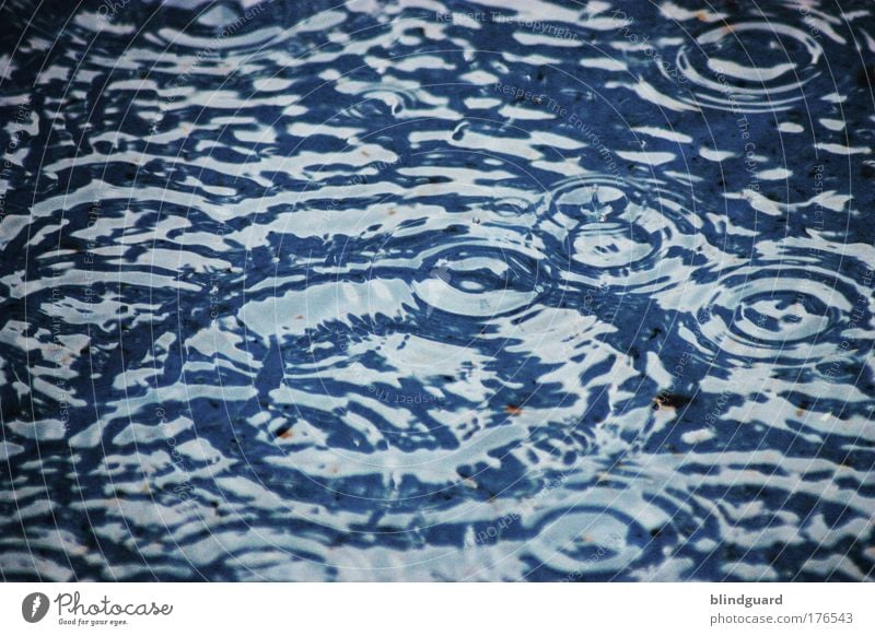 Every Drop Of Rain Colour photo Exterior shot Detail Experimental Deserted Day Whirlpool Environment Water Drops of water Summer Climate Climate change Weather