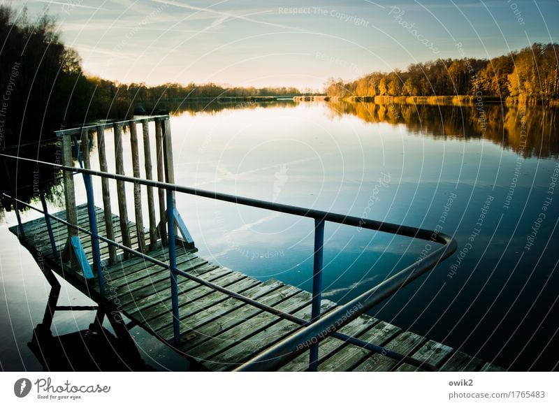 Old footbridge Trip Far-off places Freedom Environment Nature Landscape Cloudless sky Horizon Autumn Climate Beautiful weather Tree Forest Lake Olba