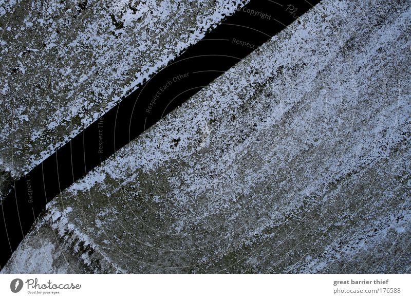 opaque Colour photo Exterior shot Close-up Experimental Deserted Evening Shadow Shallow depth of field stem Old Faded Dirty Sharp-edged Simple Gloomy Blue Gray