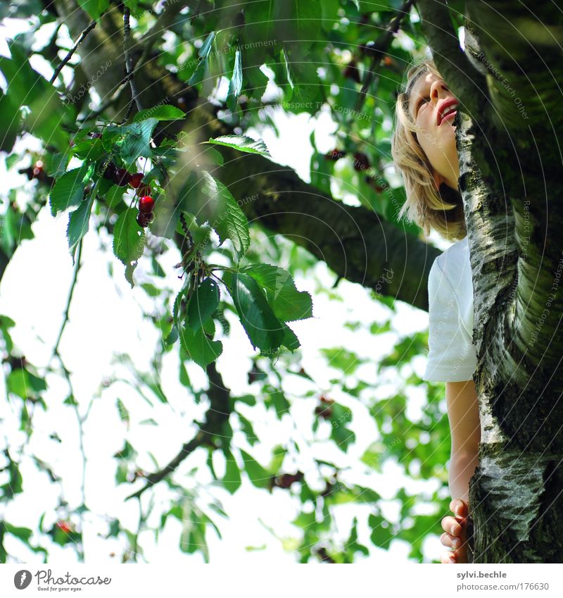 I'm good for cherries! Fruit Nutrition Organic produce Human being Girl Infancy Face Mouth Arm Hand Nature Plant Sky Tree Leaf Agricultural crop Garden Life