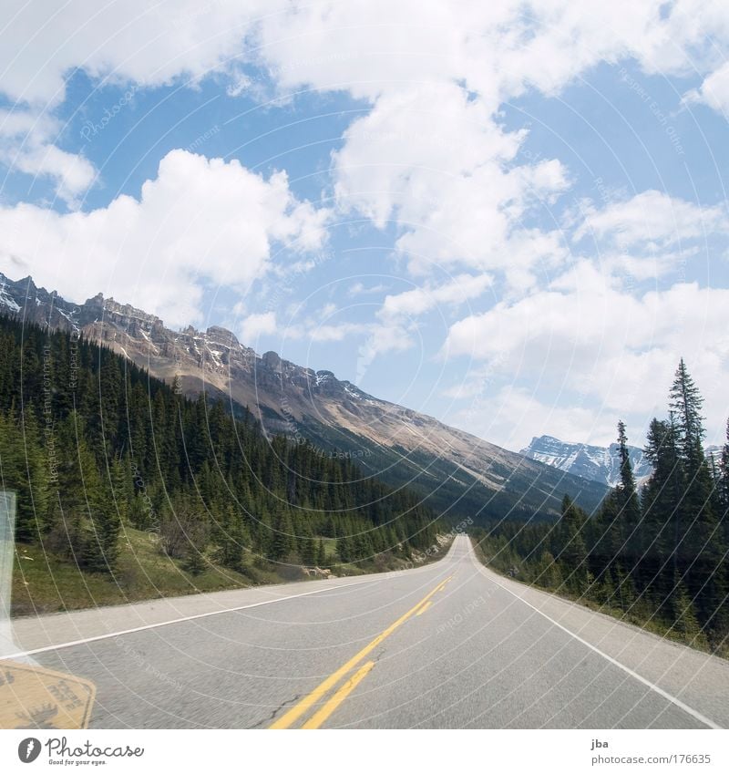 Icefield Parkway Colour photo Exterior shot Deserted Day Sunlight Vacation & Travel Tourism Far-off places Freedom Summer Landscape Sky Clouds Fir tree Forest