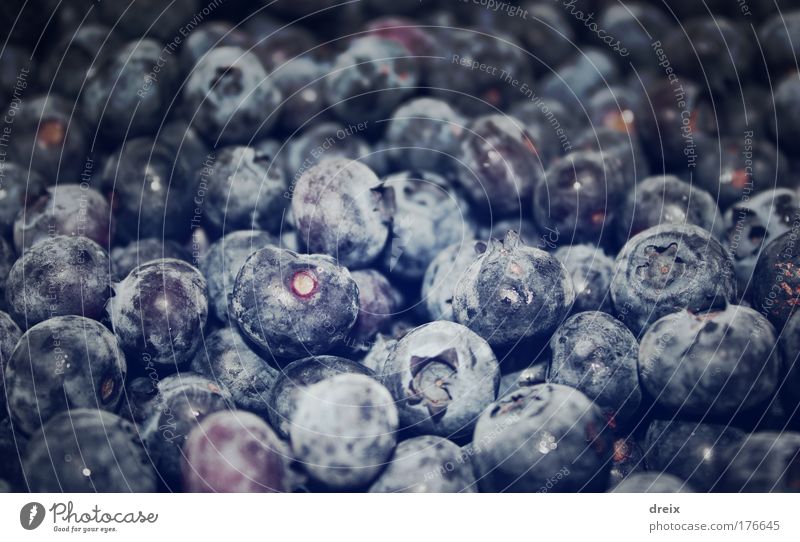 Vaccinium Myrtillus Colour photo Close-up Experimental Deserted Artificial light Deep depth of field Wide angle Fruit Blueberry Berries Juicy abundance Many