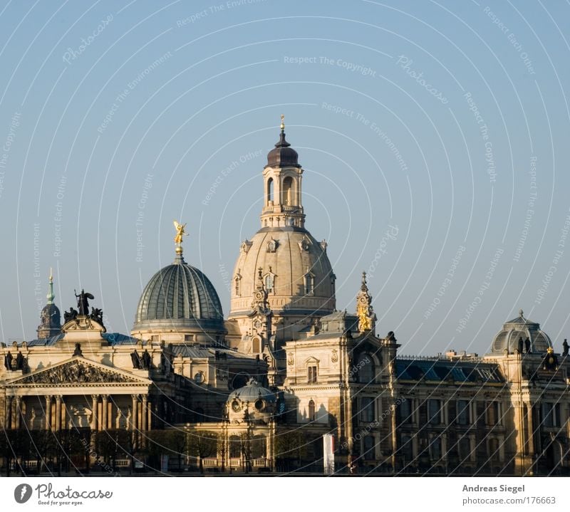 Good morning Dresden Colour photo Exterior shot Deserted Morning Shadow Sunlight Cloudless sky Beautiful weather Town Downtown Old town Manmade structures