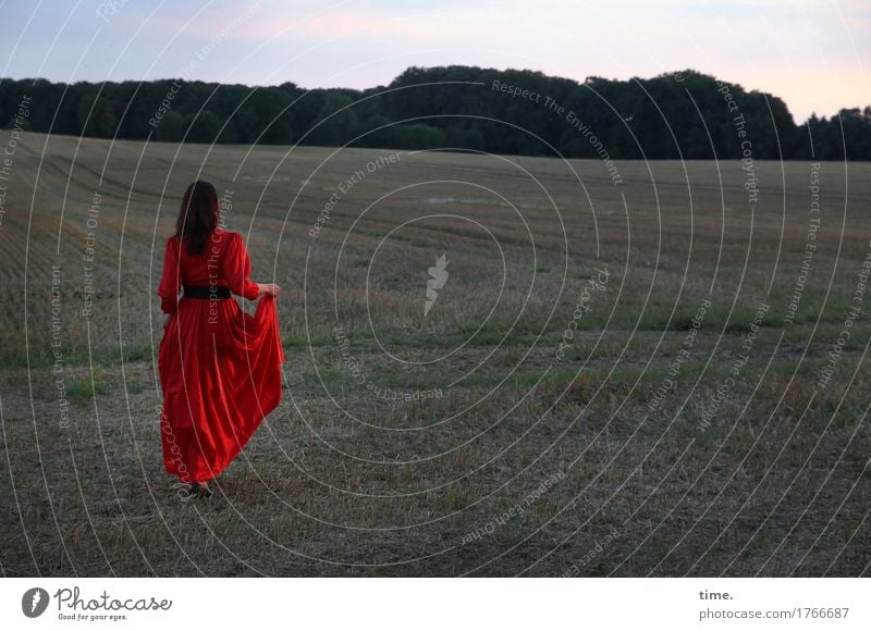 Evening walk across the field Feminine 1 Human being Sunrise Sunset Summer Beautiful weather Grass Field Forest Dress Belt Brunette Long-haired Observe Movement