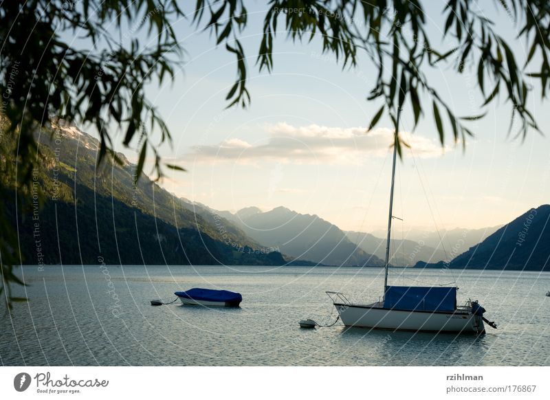 Boats on Lake Brienz Colour photo Exterior shot Copy Space top Evening Deep depth of field Panorama (View) Nature Landscape Water Sky Alps Mountain Navigation