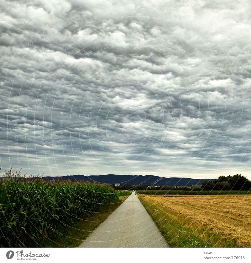 Two Worlds Colour photo Exterior shot Deserted Copy Space left Copy Space right Copy Space top Copy Space middle Day Contrast Deep depth of field Landscape