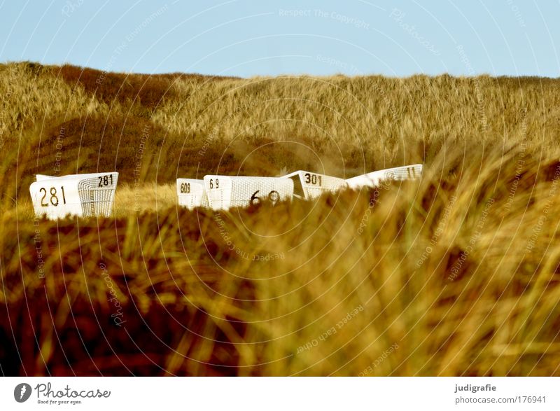 in the dunes Colour photo Exterior shot Deserted Day Sunlight Vacation & Travel Tourism Ocean Island Nature Landscape Sky Coast Beach North Sea Calm Relaxation