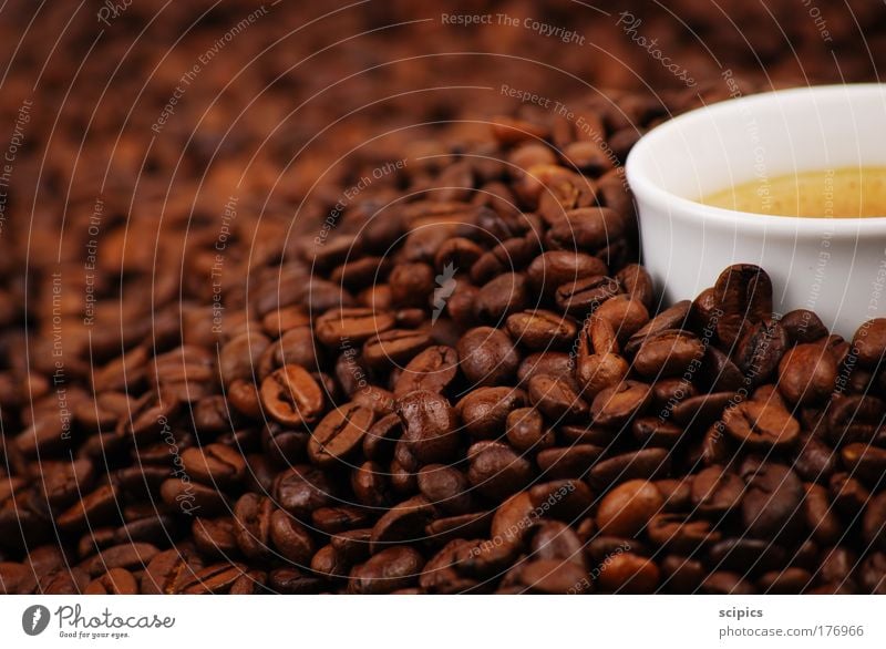 Coffee Colour photo Interior shot Studio shot Detail Artificial light Blur Food Nutrition To have a coffee Beverage Hot drink Latte macchiato Espresso Cup