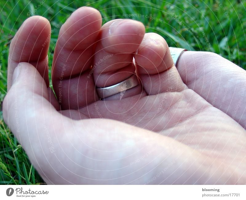 Hands 2 Meadow Masculine Palm of the hand Green Man Circle