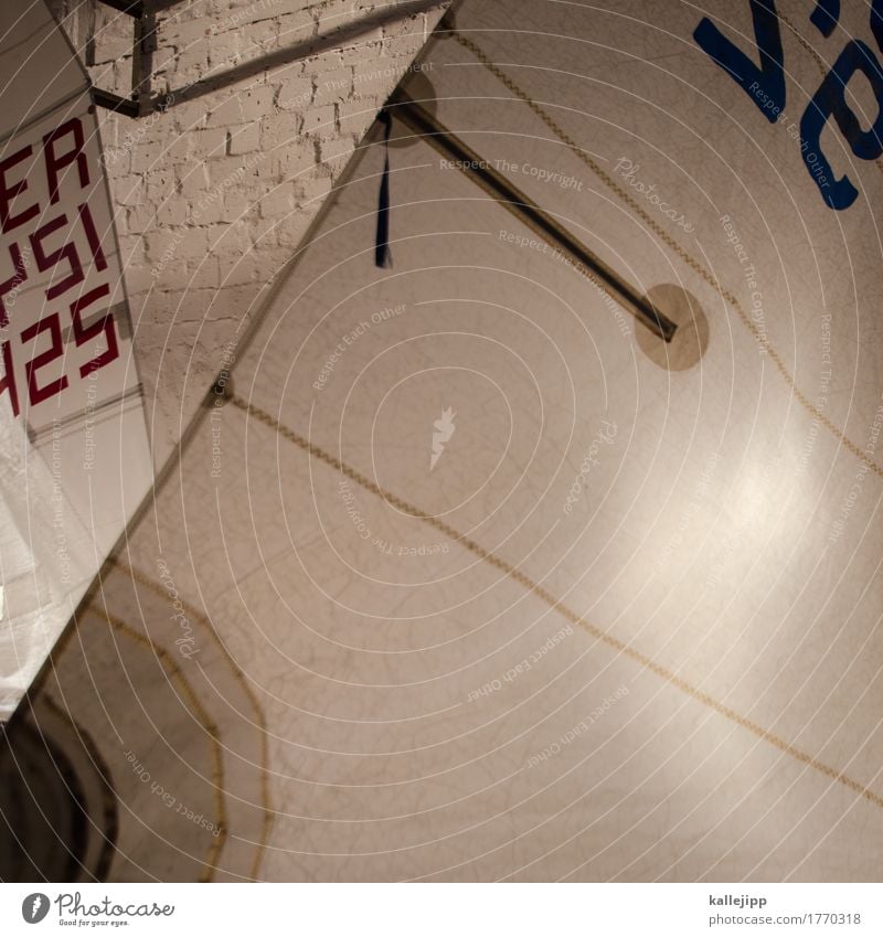 optimist Navigation Sailing ship White Bright sail number Regatta Optimist canvas sail batten Colour photo Interior shot Light Shadow Contrast