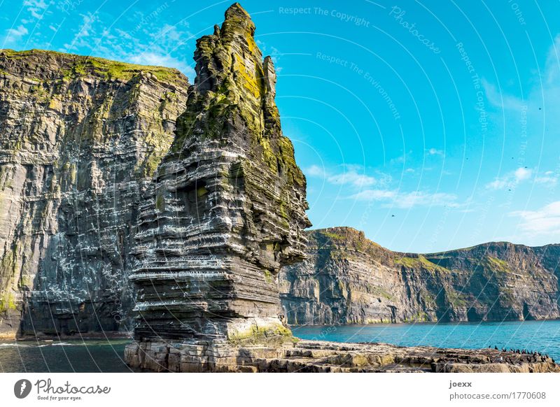 Branaunmore Nature Landscape Sky Beautiful weather Rock Mountain Cliffs of Moher Coast Ocean Island Ireland Bird Flock Gigantic Tall Blue Brown Green White