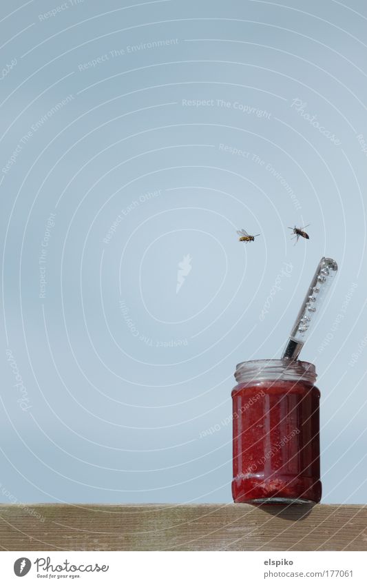 red herrings Colour photo Exterior shot Deserted Copy Space left Neutral Background Morning Shadow Jam Jam jar Glass Spoon Wasps Feeding deflect sb./sth. Sky