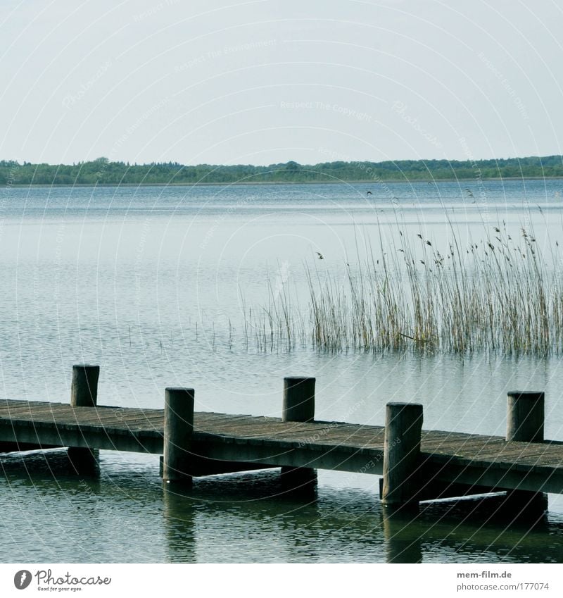 rest Lake Footbridge Calm Water Common Reed standard Fishing (Angle) Müritz Vacation & Travel Germany Relaxation Peace Stress