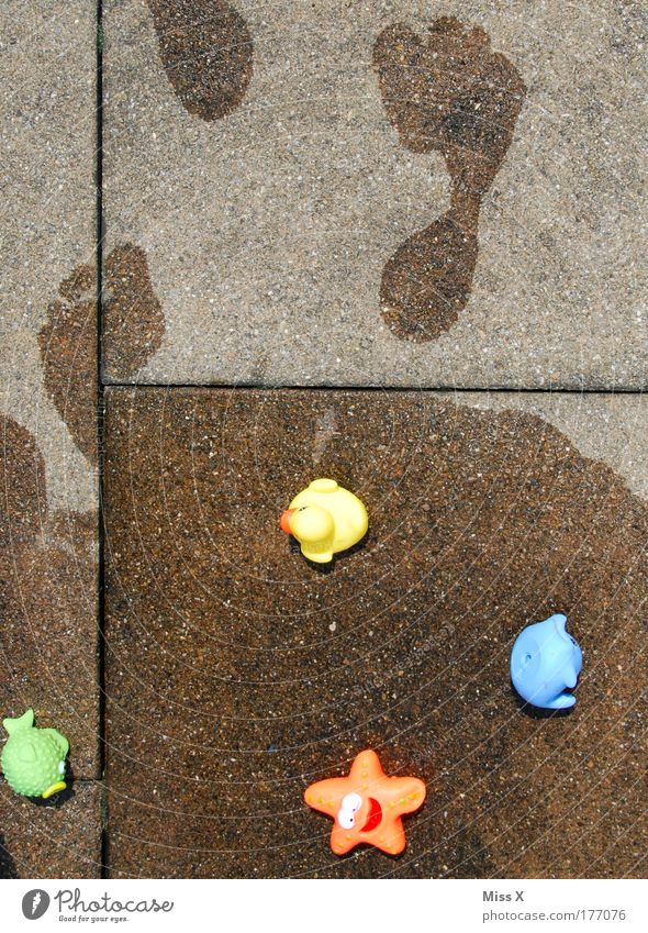 The end of bathing fun Colour photo Multicoloured Exterior shot Detail Deserted Copy Space left Copy Space right Copy Space top Copy Space middle