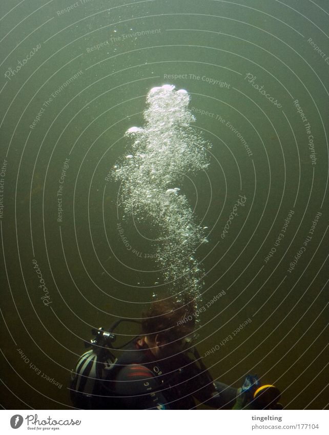 low down Colour photo Subdued colour Copy Space top Day Dive Diving equipment Diving goggles Masculine Man Adults Head Hair and hairstyles 1 Human being Water