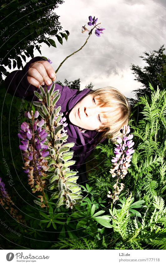 Cancelled Colour photo Exterior shot Flash photo Nature Plant Sky Clouds Wind Flower Bushes Blossom Lakeside Brash Crazy Green Violet Environmental pollution