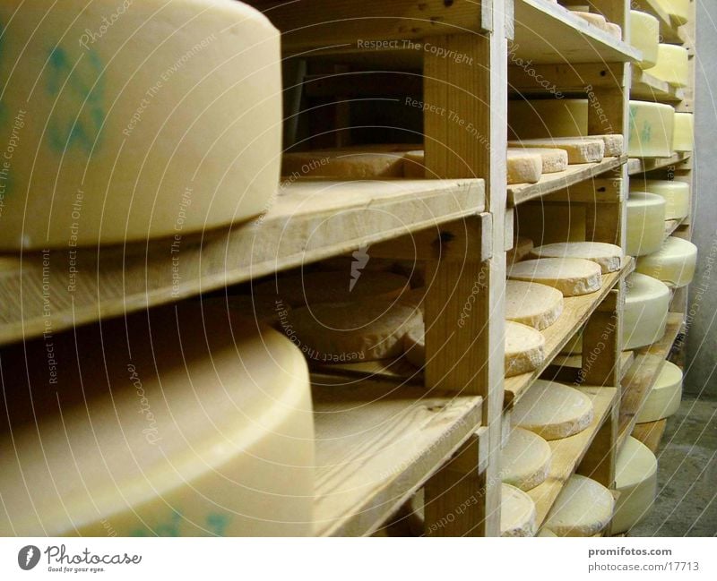 Cheese in a cheese cellar in Allgäu, Bavaria, Germany, Europe / Photo: Alexander Hauk Healthy Delicious cheese store Allgäu cheese Food Milk farmer's cadastre