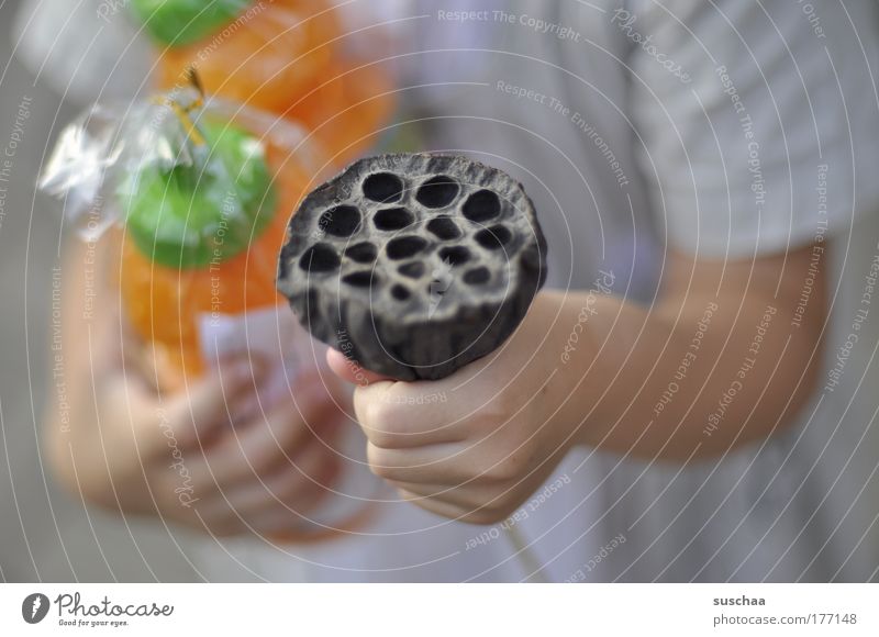 who have their hands full .. Colour photo Subdued colour Detail Blur Shallow depth of field Life Well-being Contentment Parenting Child Girl Arm Hand Fingers