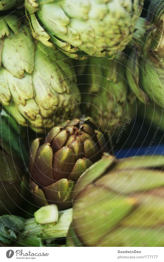 artichoke Food Vegetable Artichoke Nutrition Vegetarian diet Green Colour photo Shallow depth of field Deserted Fresh Exterior shot