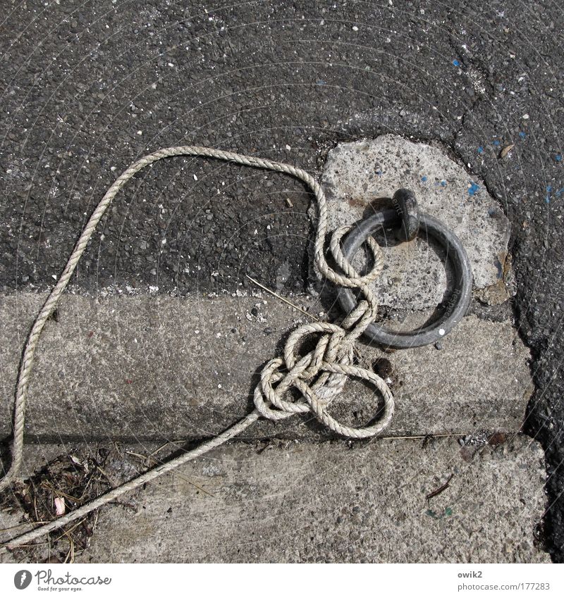 asphalt piercing Colour photo Subdued colour Exterior shot Detail Deserted Copy Space top Copy Space bottom Day Shadow Contrast Sunlight Technology Tradition