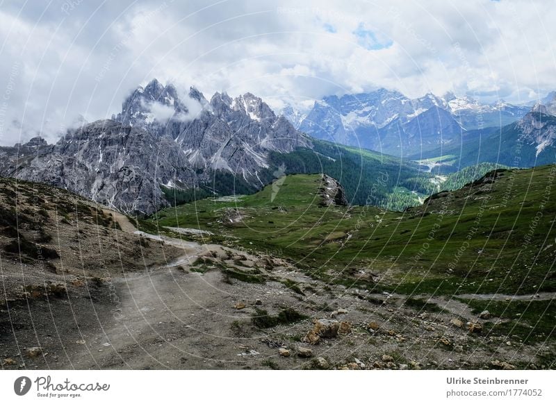 On proven paths Summer Summer vacation Mountain Hiking Environment Nature Landscape Plant Sky Clouds Bad weather Fog Grass Forest Rock Alps Dolomites