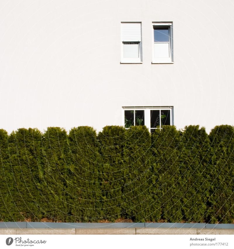 hedge window Colour photo Exterior shot Deserted Copy Space left Copy Space top Copy Space bottom Day Lifestyle Design Living or residing Flat (apartment)