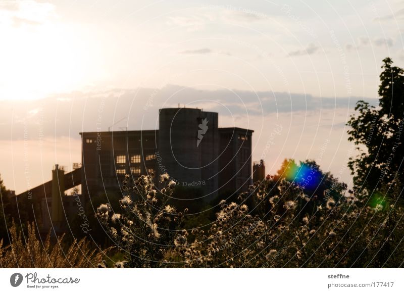 industrial romance Colour photo Exterior shot Deserted Copy Space top Evening Twilight Silhouette Sunlight Back-light Landscape Sky Sunrise Sunset