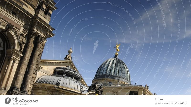 Dresden inspires Colour photo Exterior shot Detail Day Capital city Old town Church Architecture Tourist Attraction Historic Reflection lemon squeezer Culture