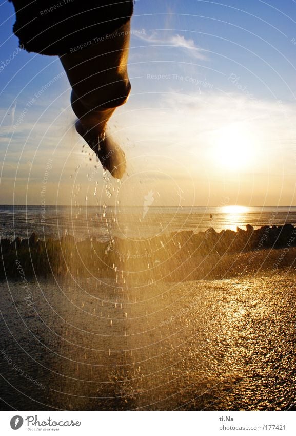 wipe Colour photo Exterior shot Experimental Evening Light Shadow Silhouette Reflection Sunlight Sunbeam Back-light Vacation & Travel Tourism Trip Freedom