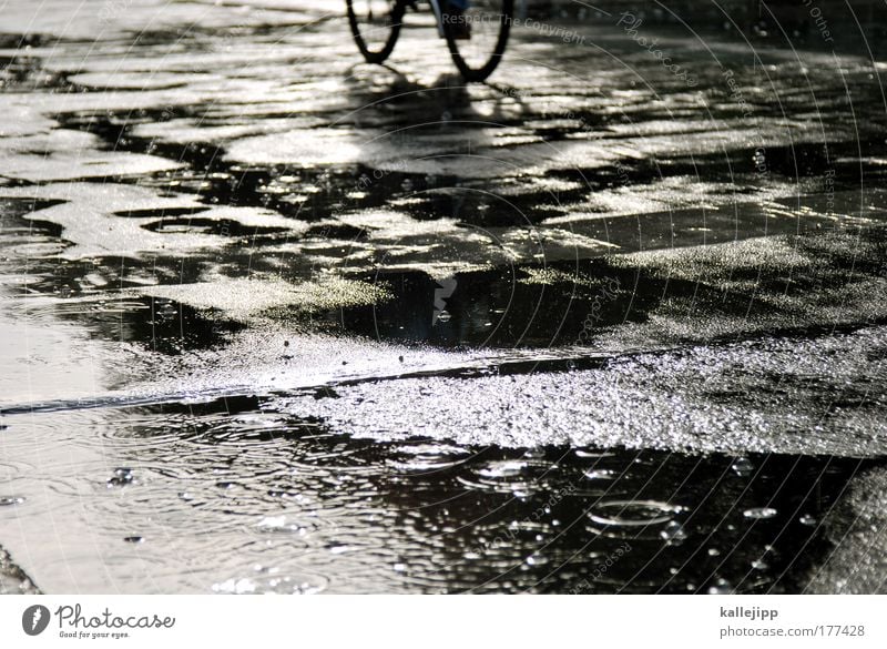 under the lime trees Colour photo Subdued colour Day Shadow Contrast Silhouette Reflection Low-key Worm's-eye view Lifestyle Style Leisure and hobbies Cycling