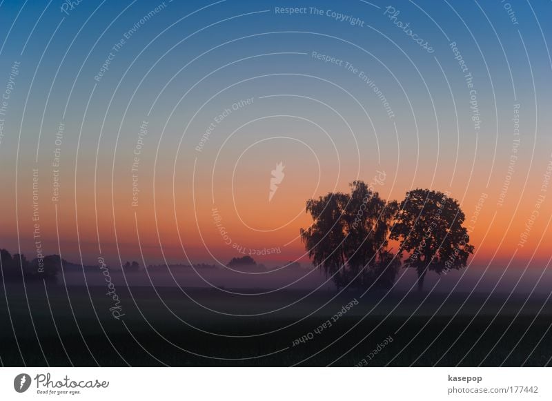 Sunrise at Kissing (Sunrise near Kissing) Colour photo Exterior shot Deserted Copy Space left Copy Space top Copy Space bottom Morning Dawn Twilight Light