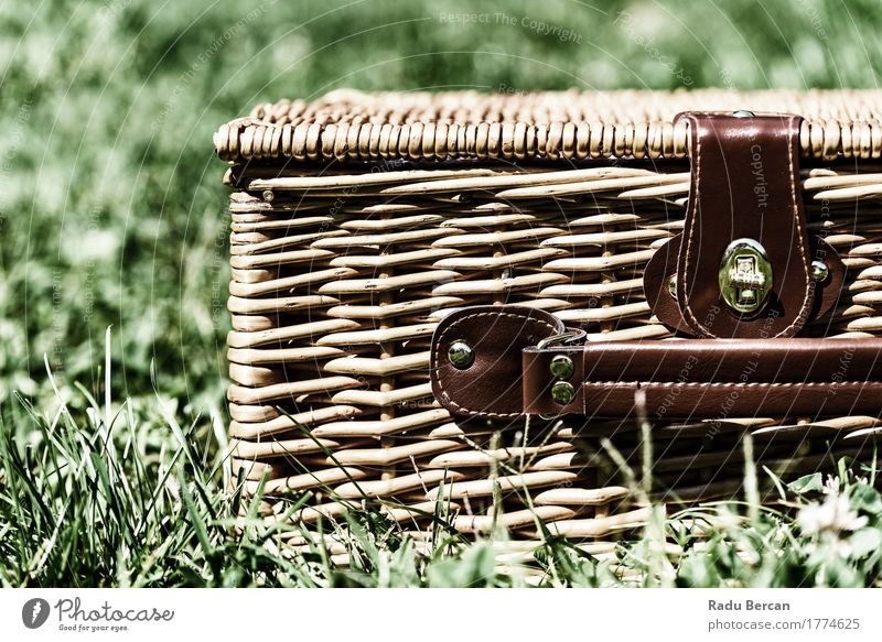 Picnic Basket Hamper With Leather Handle In Green Grass Leisure and hobbies Vacation & Travel Summer Nature Garden Park Container Discover Brown Adventure