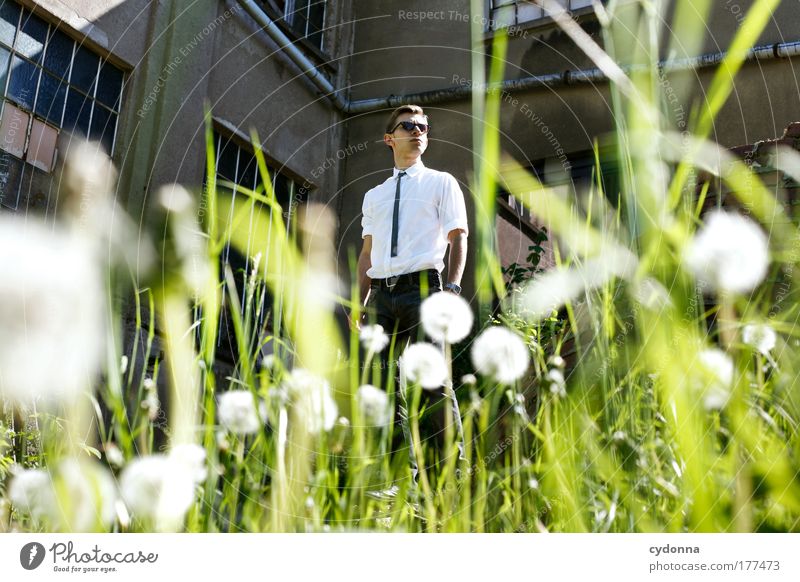 puppete Colour photo Exterior shot Day Light Shadow Contrast Sunlight Deep depth of field Central perspective Upper body Front view Looking away Lifestyle