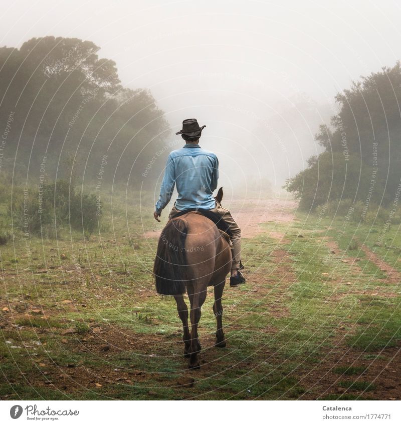 Departure, a lone rider with hat and blue shirt rides by Ride Masculine Young man Youth (Young adults) 1 Human being 18 - 30 years Adults Nature Landscape Plant