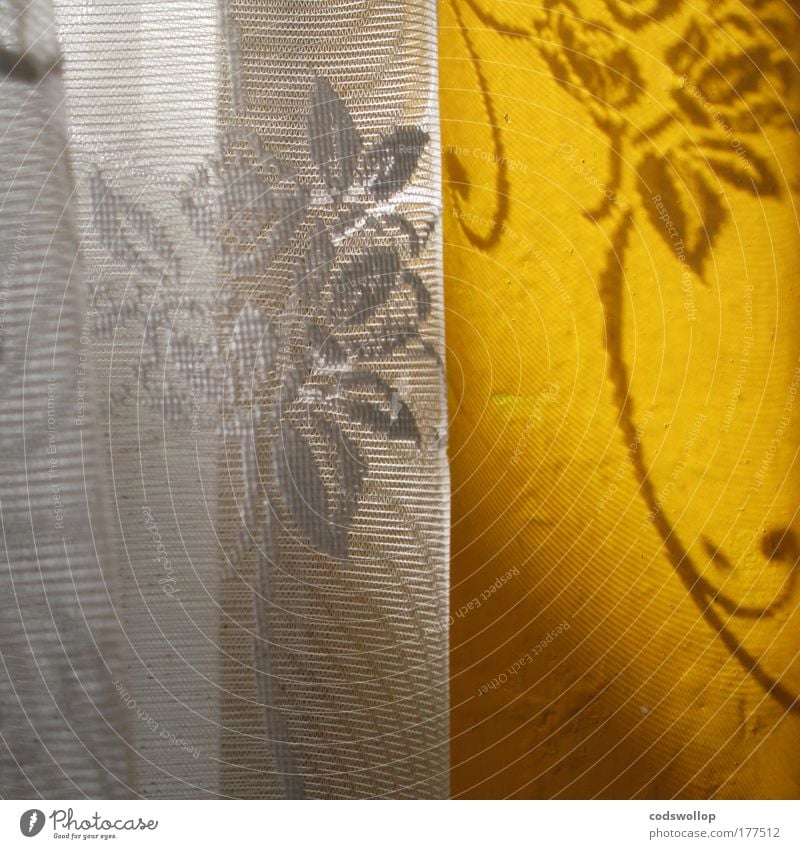 light filter Interior shot Morning Shadow Sunlight Window Bright Warm-heartedness Kitchen Flower Pattern Wall (building) Summer window curtain White Yellow