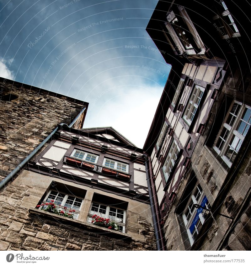 aspiring Colour photo Exterior shot Deserted Copy Space top Day Light Shadow Contrast Worm's-eye view Wide angle Tourism City trip Eisenach Thuringia Town