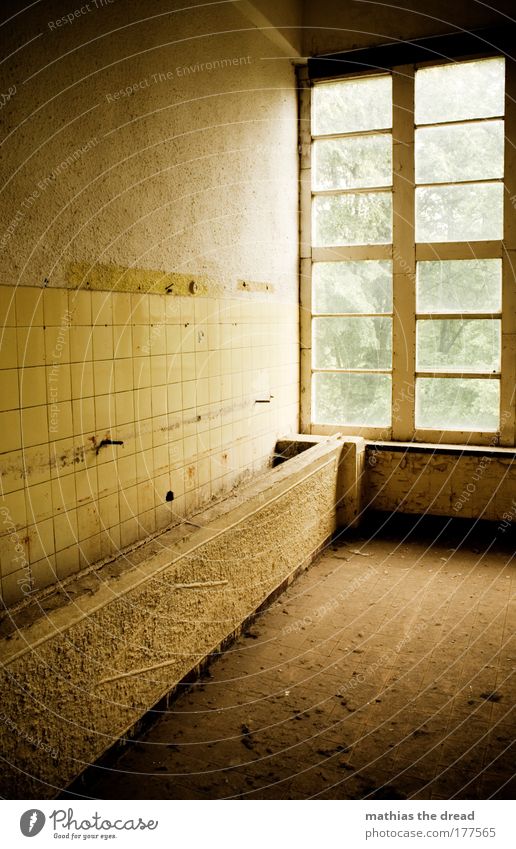 WASHBASIN Colour photo Interior shot Deserted Day Light Shadow Contrast Silhouette Light (Natural Phenomenon) Sunlight Back-light Shallow depth of field