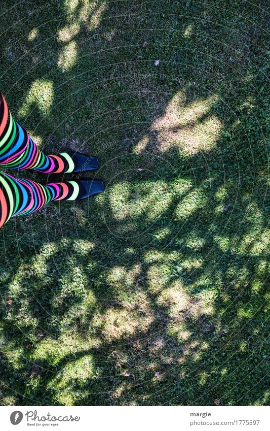 annual rings, girls - legs with curled stockings on a meadow with a tree - shade Human being Feminine Woman Adults Legs Feet 1 Environment Nature Plant Tree