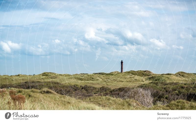 Tower in the distance Vacation & Travel Tourism Trip Far-off places Summer Summer vacation Nature Landscape Sky Clouds Beautiful weather Plant Grass Bushes