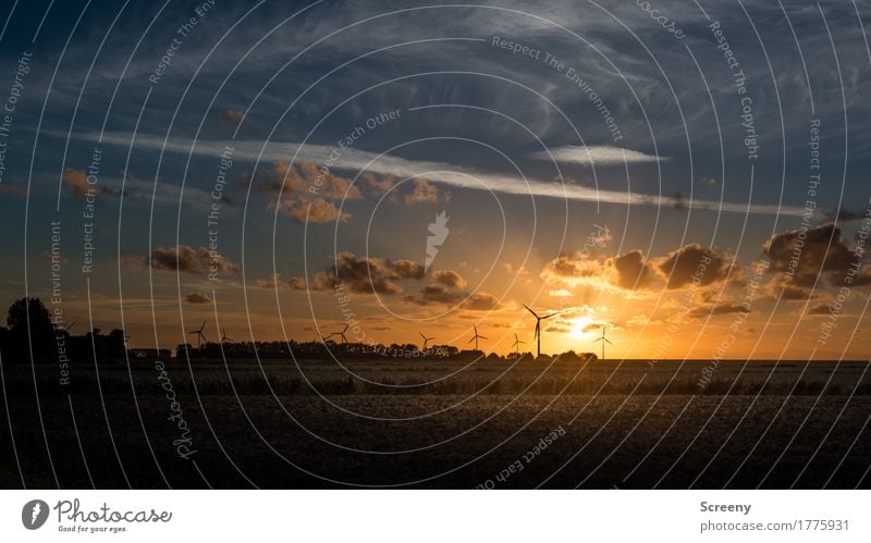 In the evening, at the golden dike... Vacation & Travel Tourism Energy industry Wind energy plant Landscape Sky Clouds Sunrise Sunset Sunlight Summer